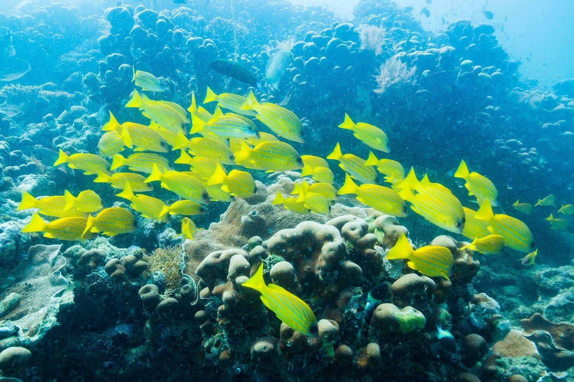 Azura Quilalea Island Exterior foto